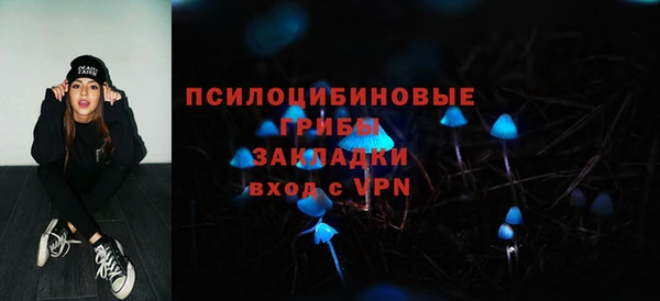 стаф Беломорск