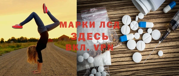 PSILOCYBIN Ветлуга