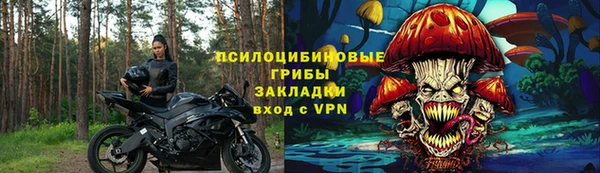 бошки Белокуриха