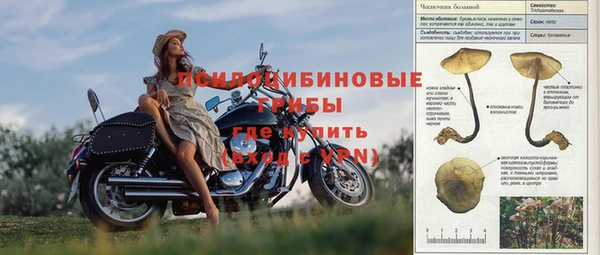 стаф Беломорск