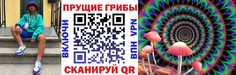 Псилоцибиновые грибы GOLDEN TEACHER  Надым 